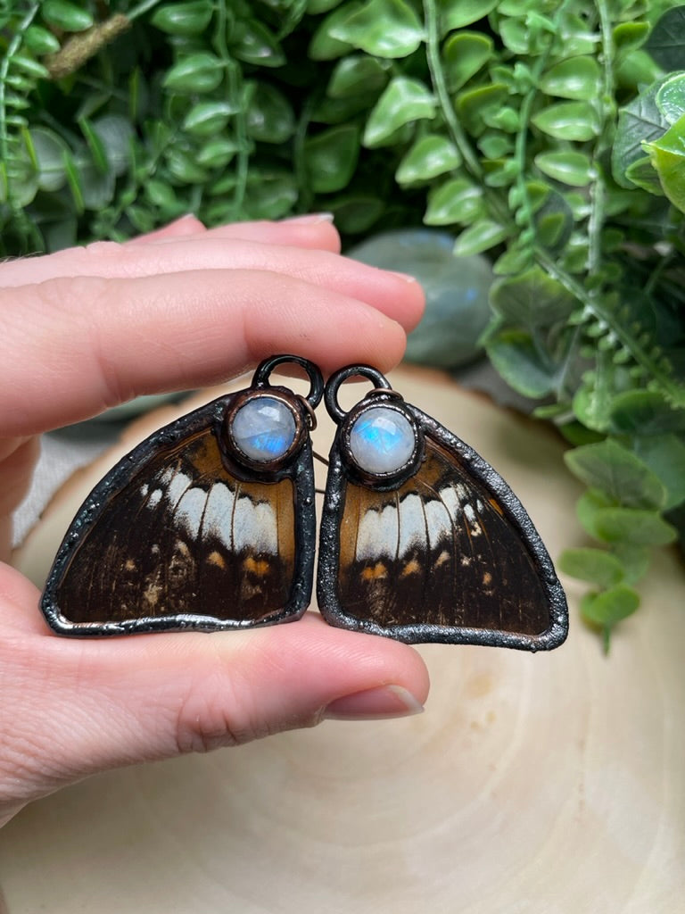 Butterfly Wing and Moonstone Earrings