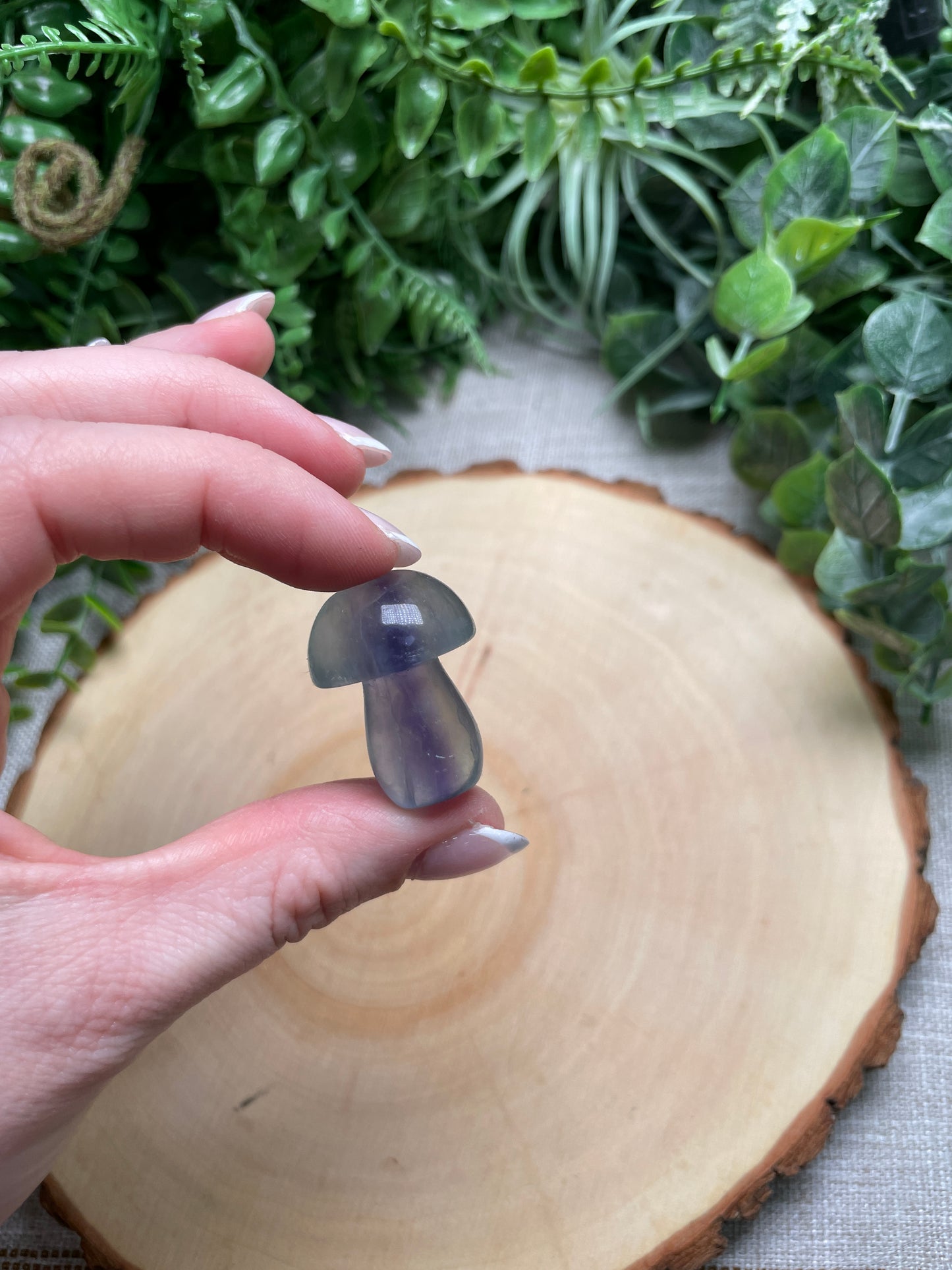 Fluorite Mushroom