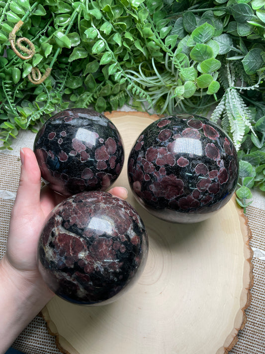 XL Garnet in Astrophyllite Sphere