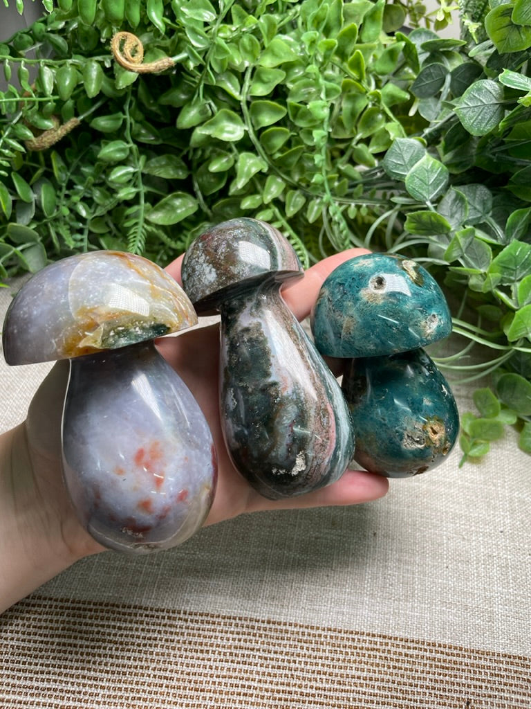 Ocean Jasper Mushroom