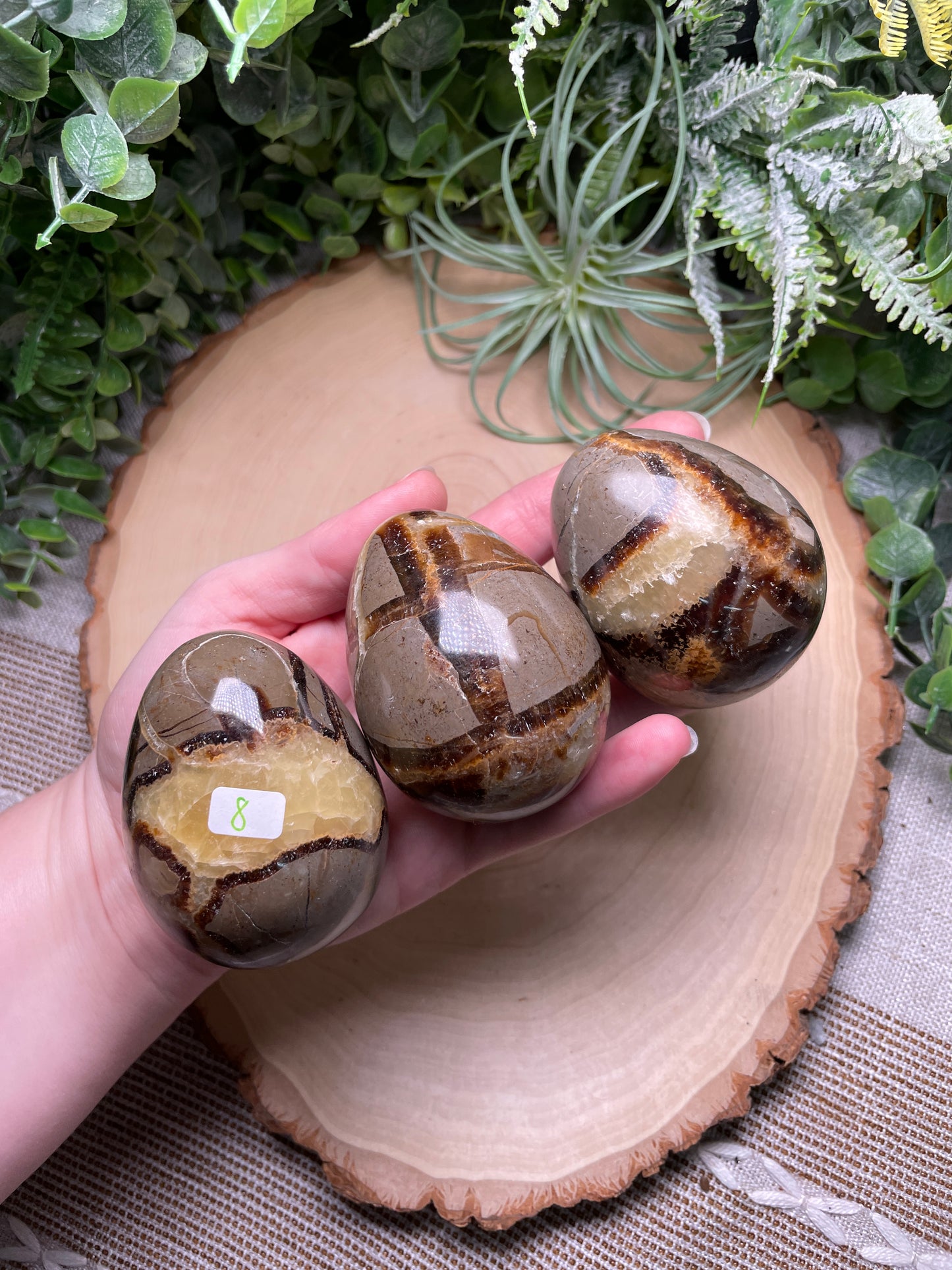 Septarian Egg