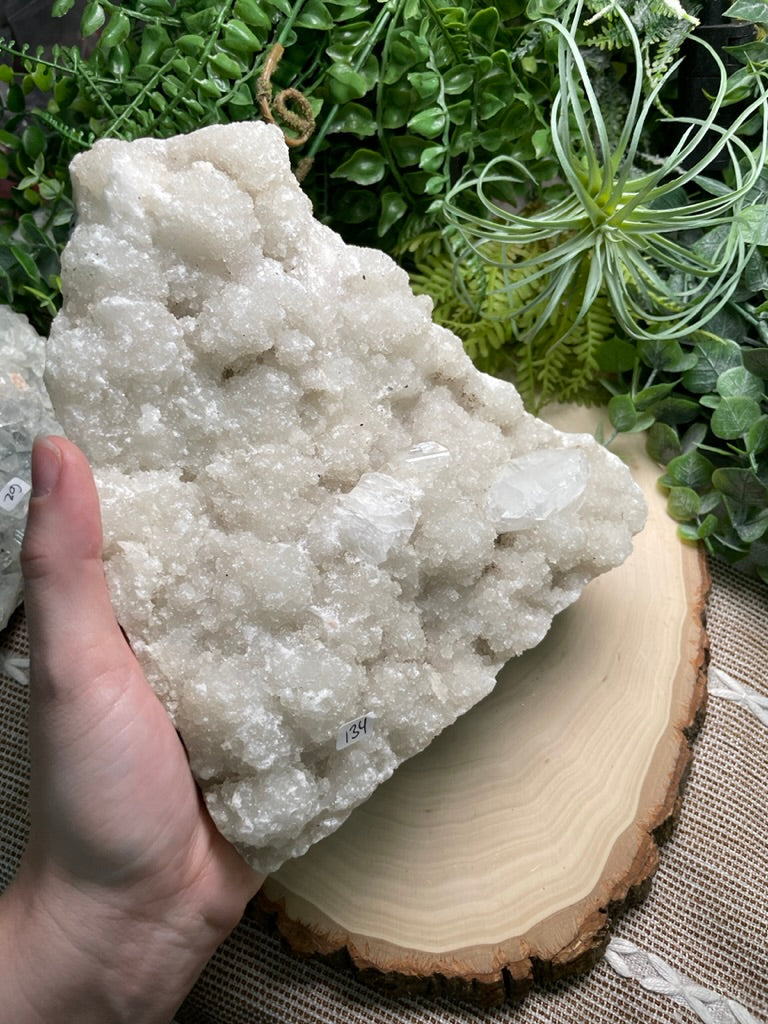 XXL Apophyllite Cluster