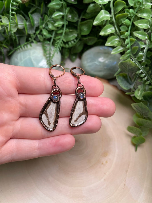 Moth Wing and Labradorite Earrings