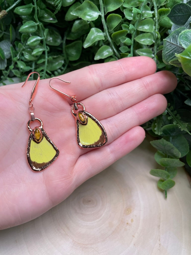 Butterfly Wing and Tigers Eye Earrings