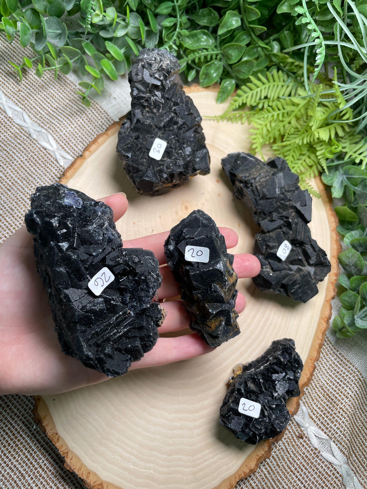 Black Fluorite