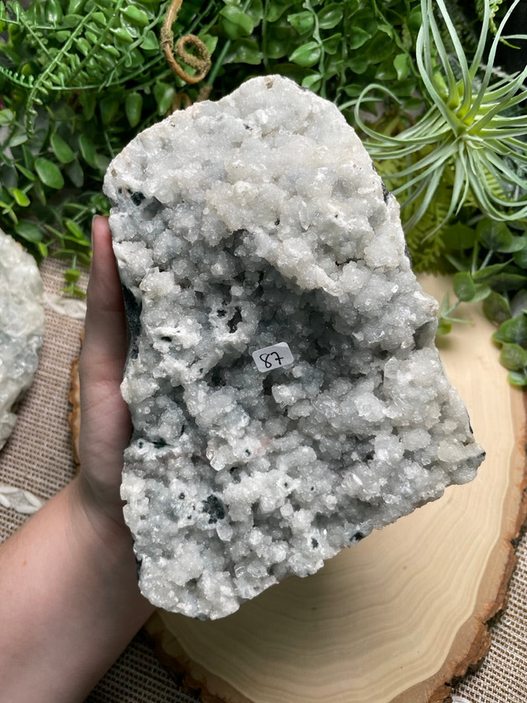 XL Apophyllite Cluster