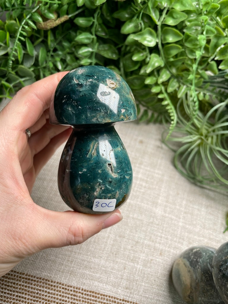 Ocean Jasper Mushroom