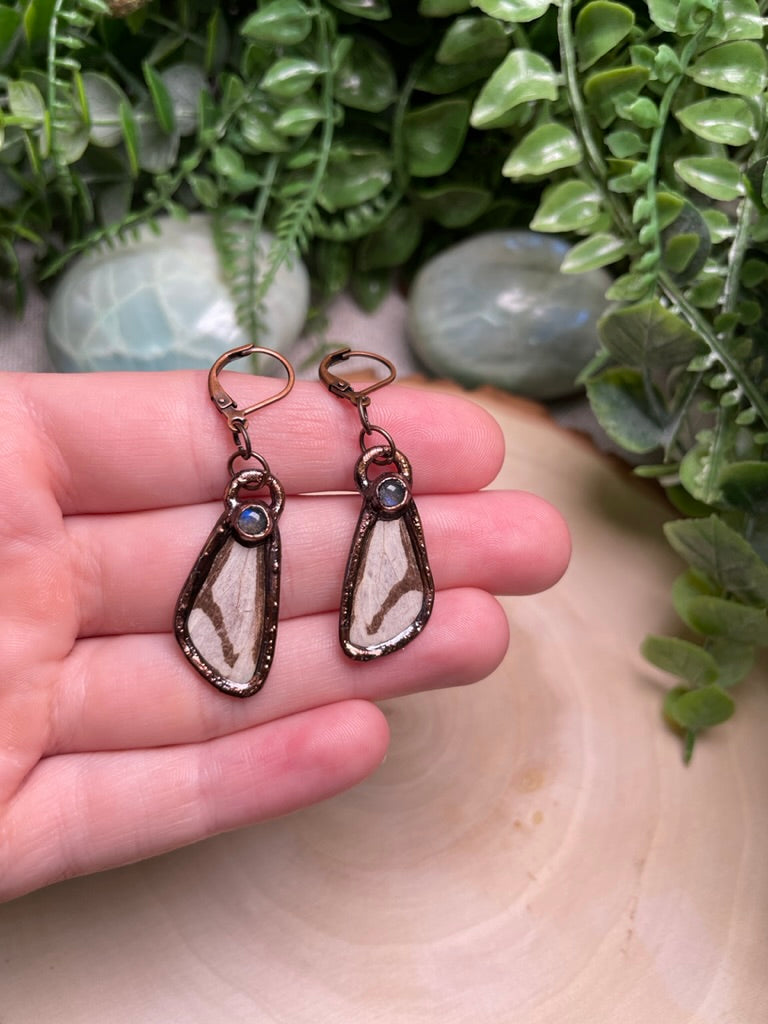 Moth Wing and Labradorite Earrings