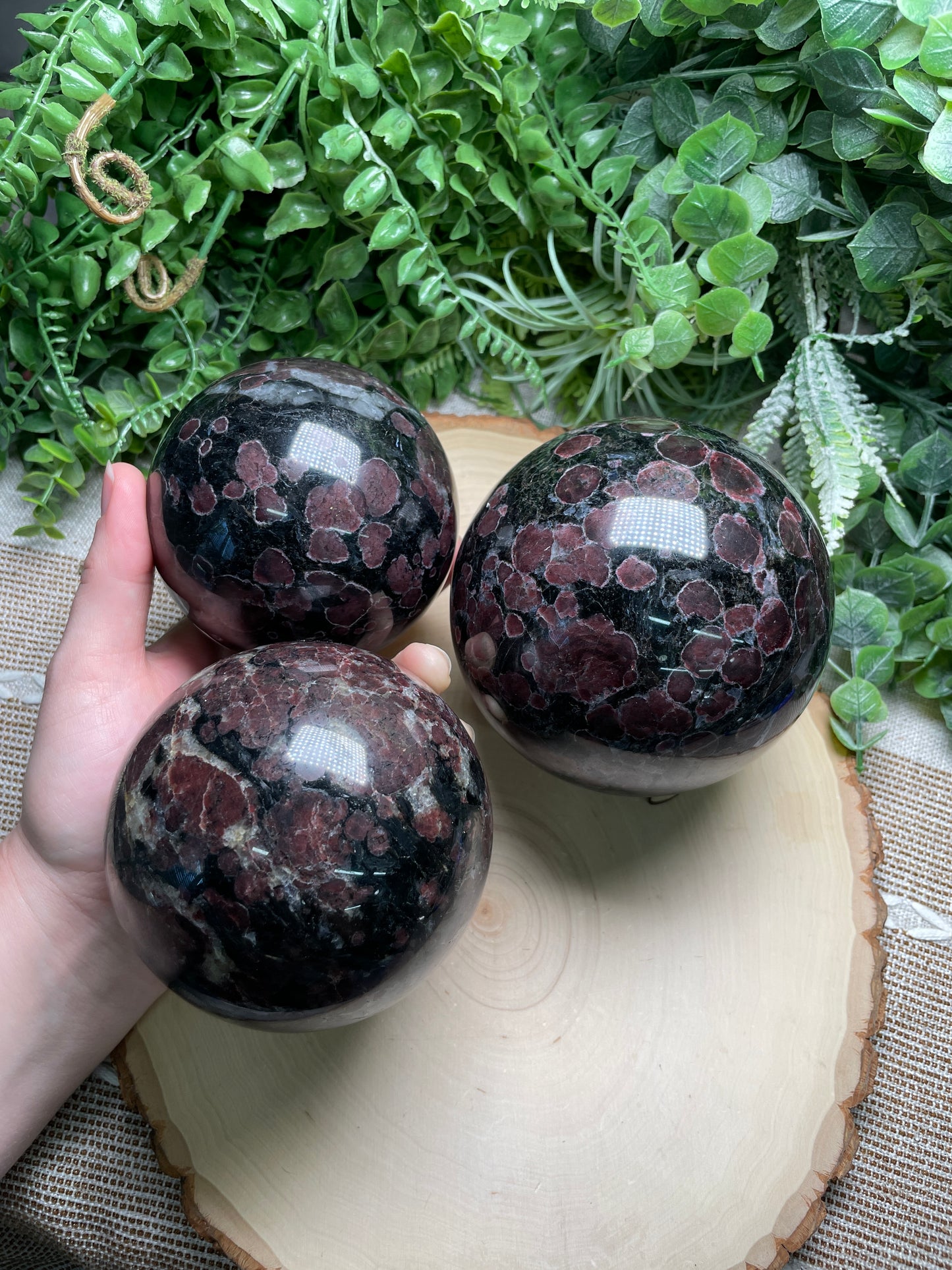 XL Garnet in Astrophyllite Sphere