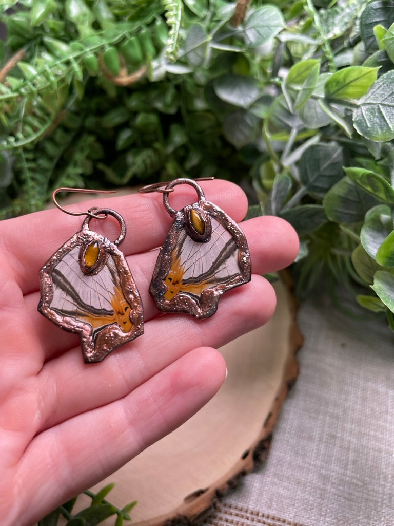 Tigers Eye Butterfly Wing Earrings