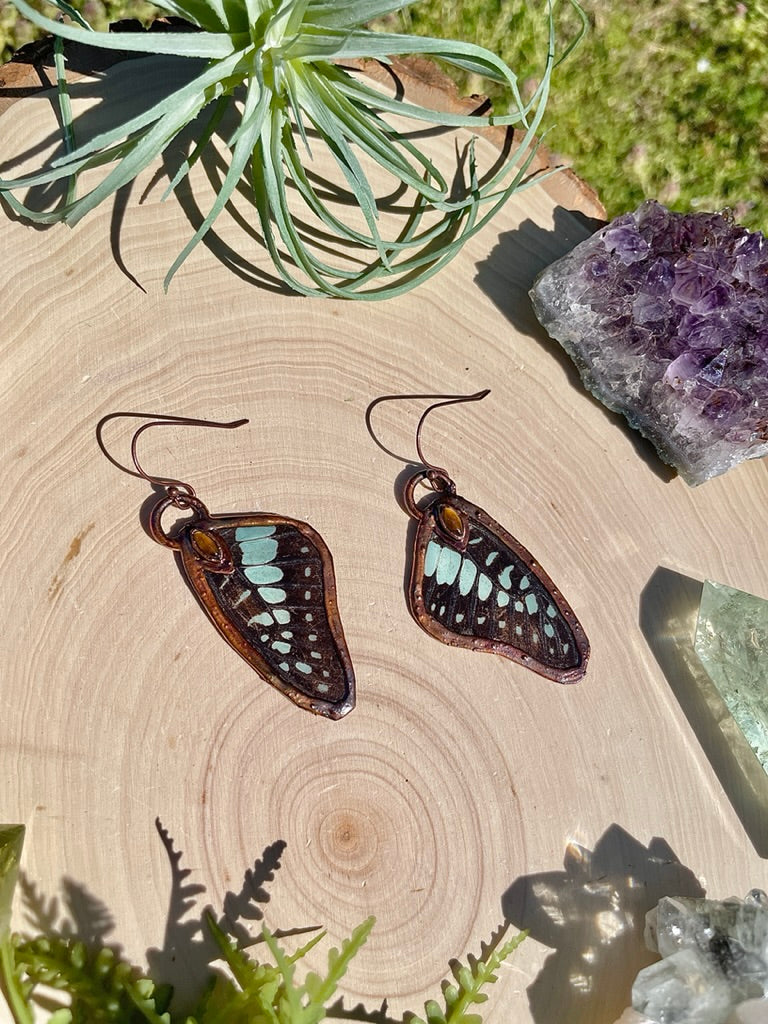 Tigress- Tigers Eye and Real Ethically Sourced Butterfly Wing Earrings