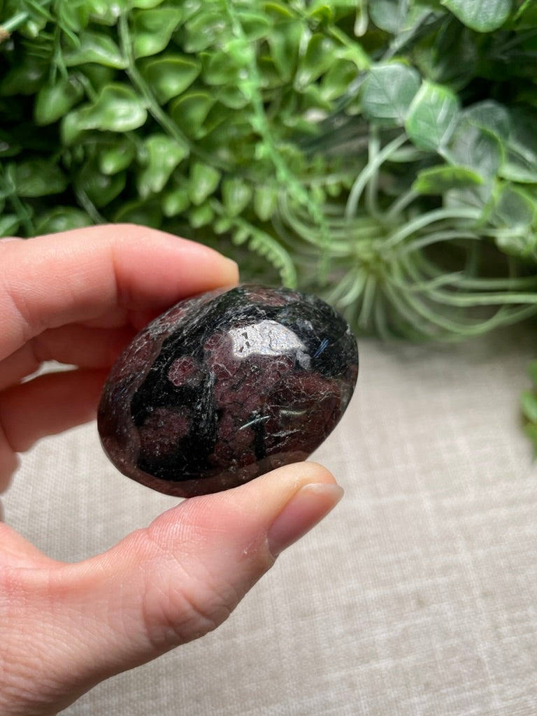 Garnet in Astrophyllite Palm Stone