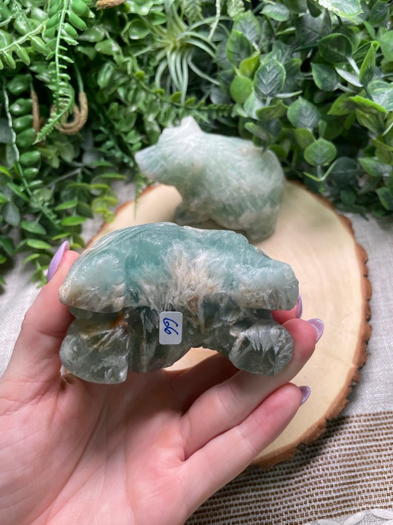 Fluorite Bear