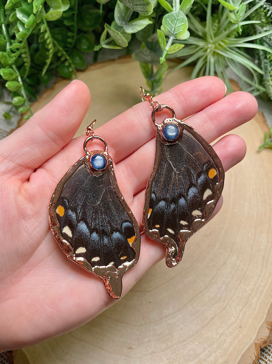 Blue Kyanite Butterfly Wing Earrings