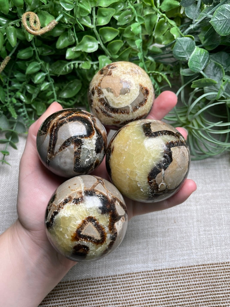 Septarian Sphere