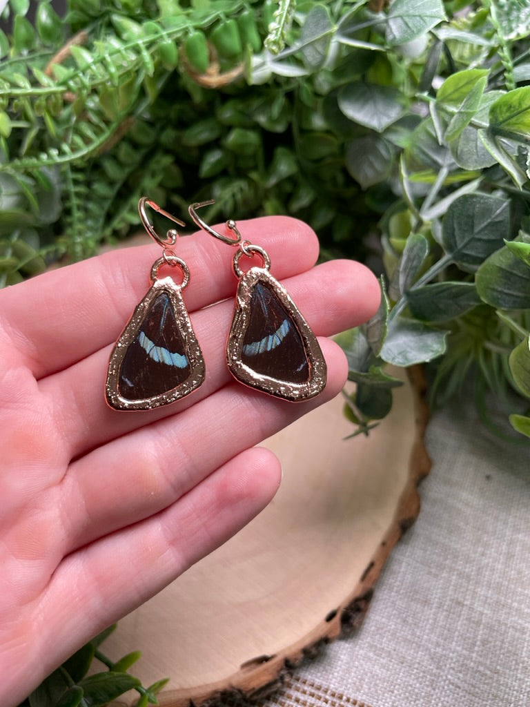 Butterfly Wing Earrings