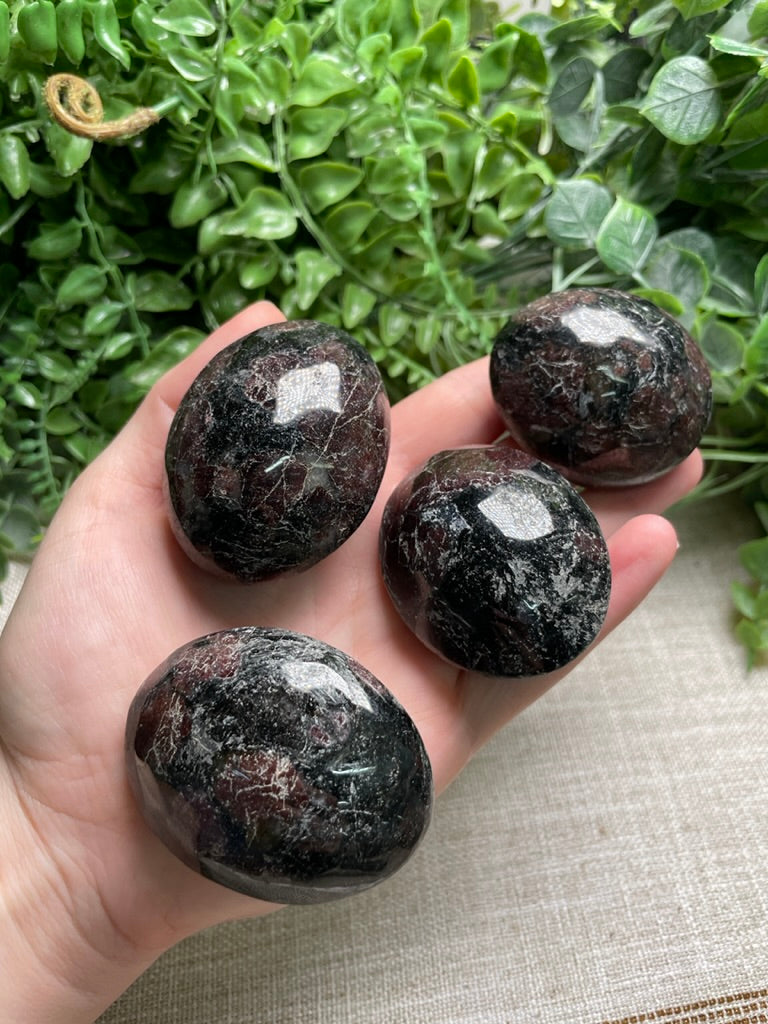 Garnet in Astrophyllite Palm Stone