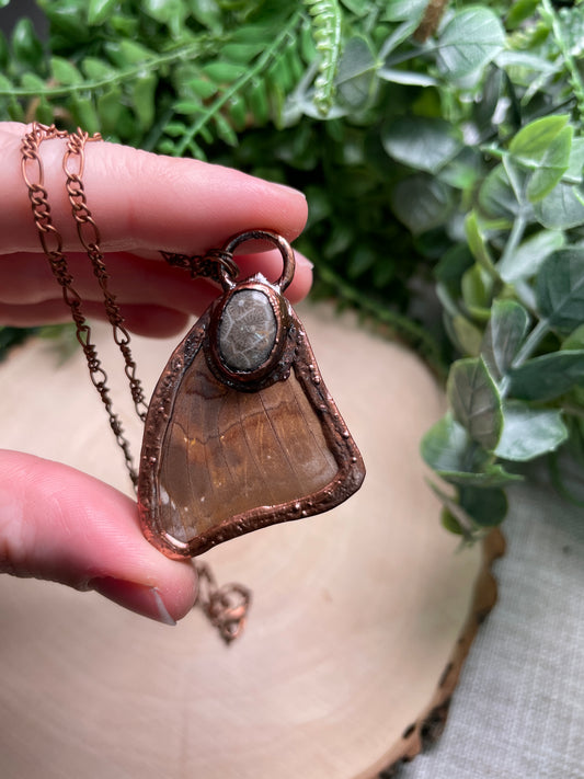 Fossilized Coral Butterfly Wing Necklace