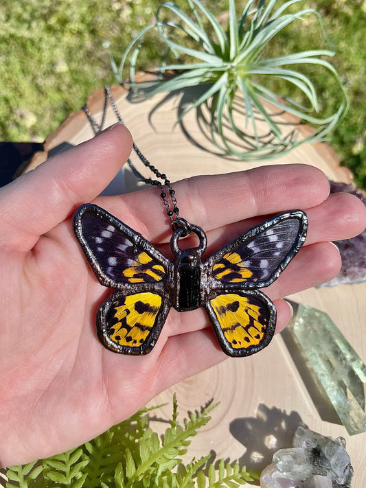 Eclipse- Black Tourmaline and Real Ethically Sourced Butterfly Wings Necklace