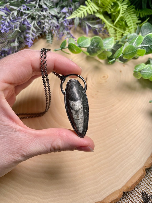 Orthoceras Fossil Necklace