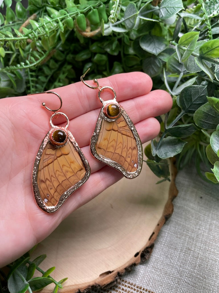 Tigers Eye Butterfly Wing Earrings