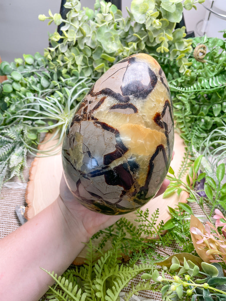 XL Large Septarian Egg