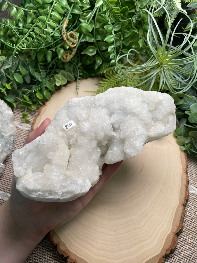 XL Apophyllite Cluster