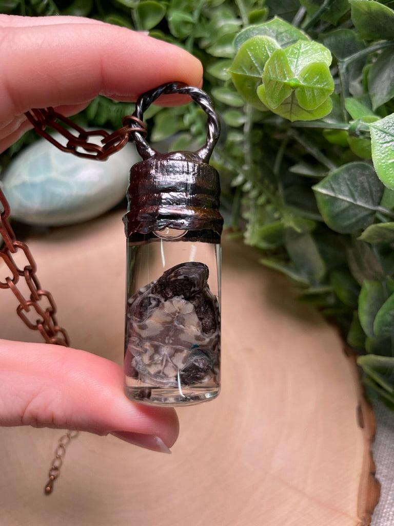 Mother of Pearl Shell and Wet Specimen Baby Turtle in a Glass Vial Necklace