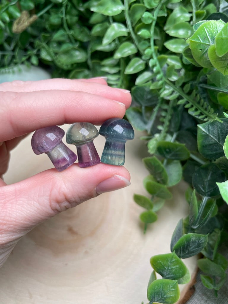 Rainbow Fluorite Mushroom