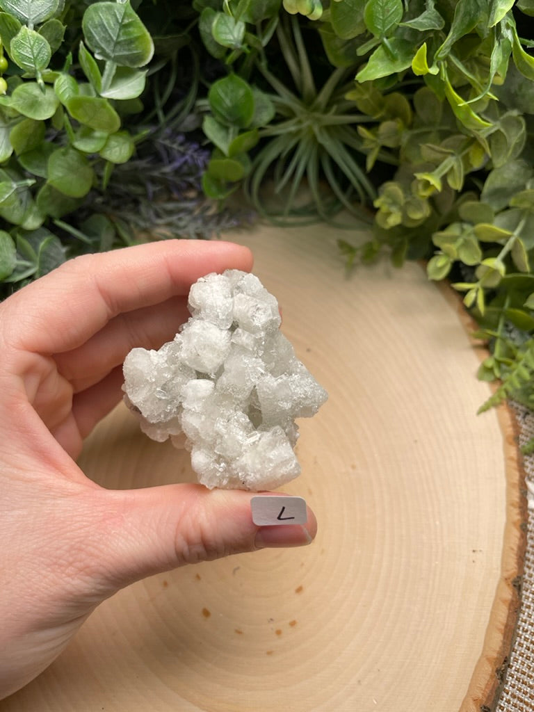 Apophyllite Cluster