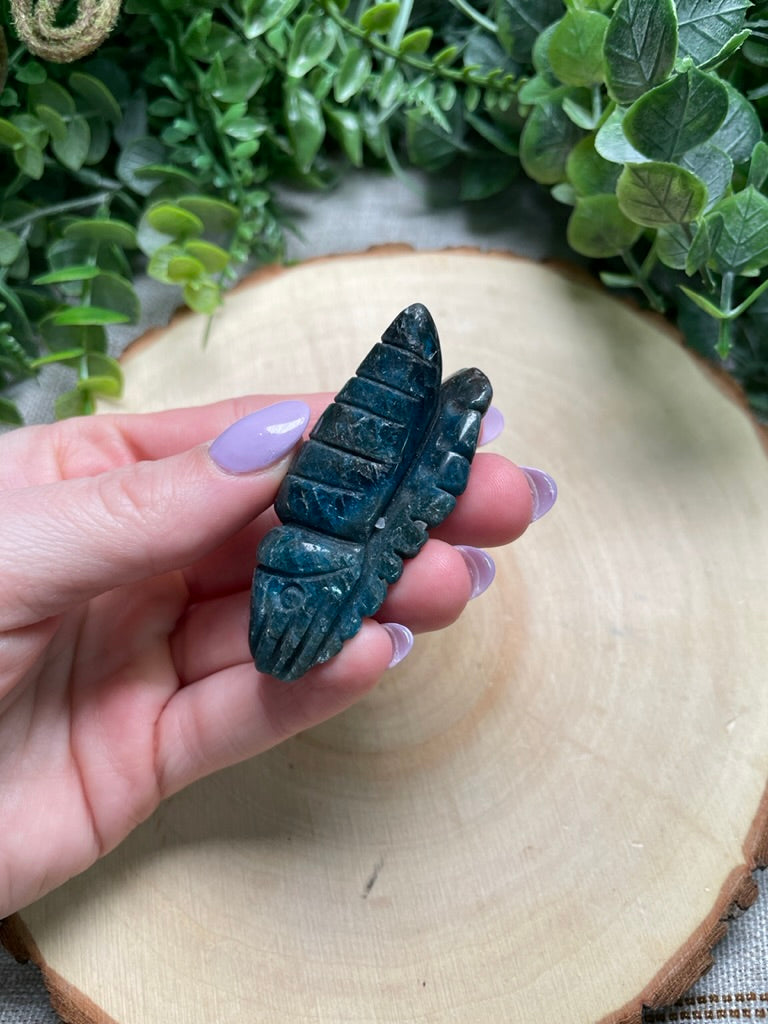 Blue Apatite Ammonite (chipped)