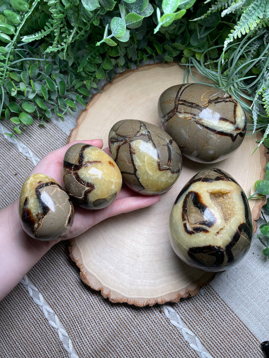 Septarian Egg