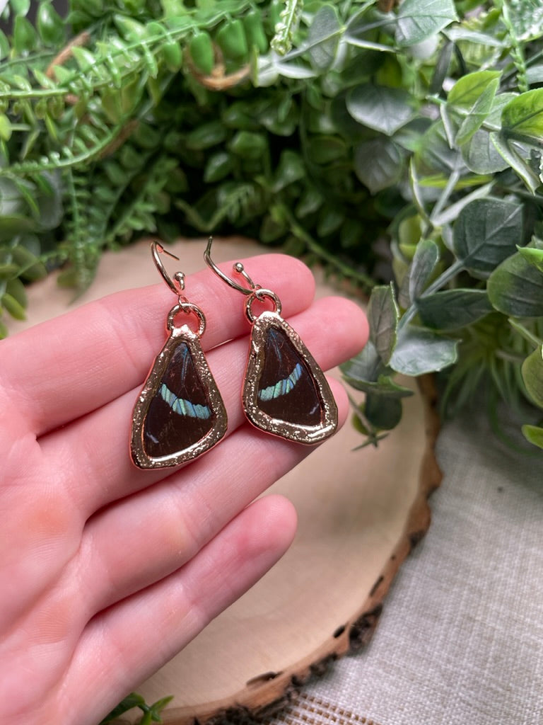 Butterfly Wing Earrings