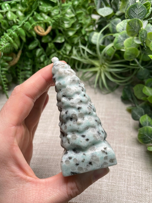 Kiwi Jasper Christmas Tree