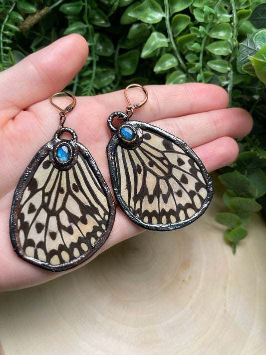 Butterfly Wing and Labradorite Earrings