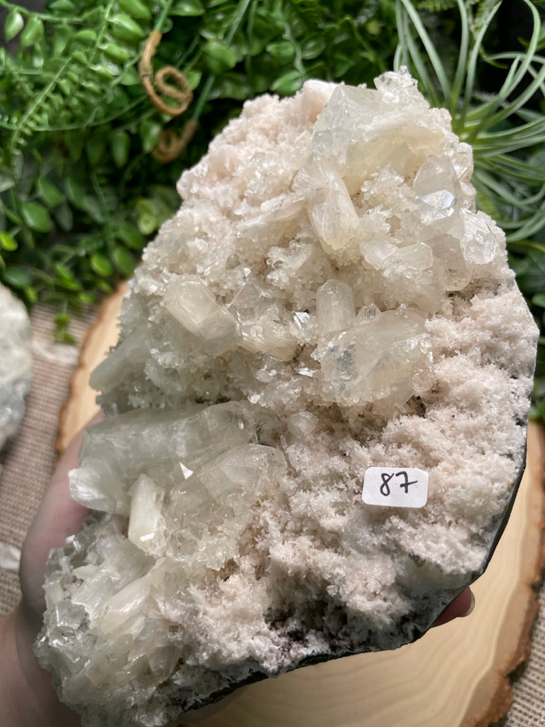 XL Apophyllite Cluster