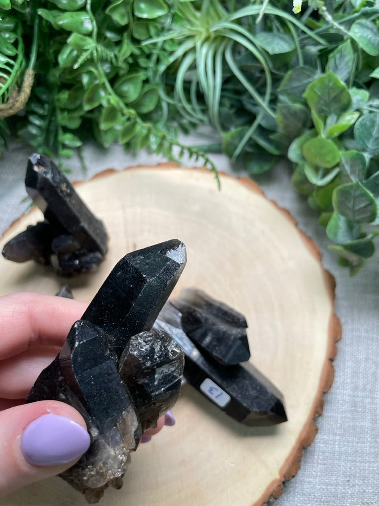 Smoky Quartz Cluster