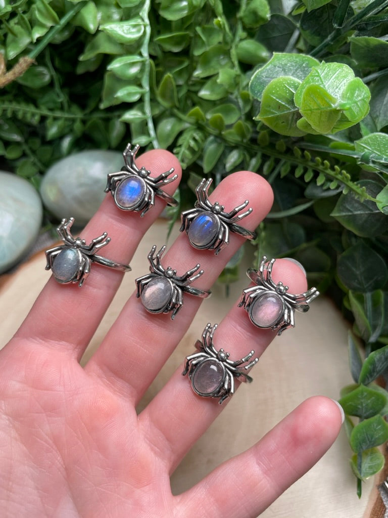 Crystal Spider Adjustable Ring