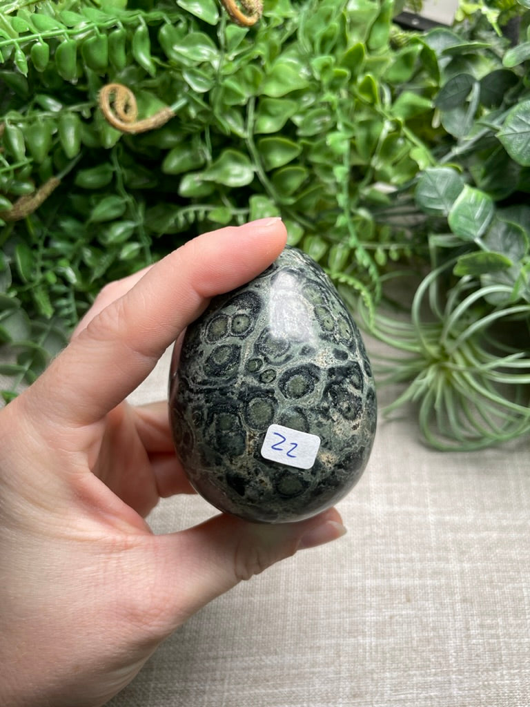 Kambaba Jasper Egg