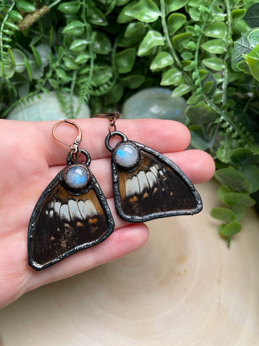 Butterfly Wing and Moonstone Earrings