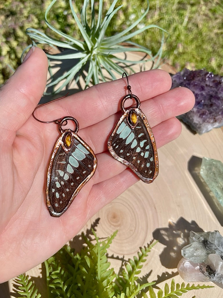 Tigress- Tigers Eye and Real Ethically Sourced Butterfly Wing Earrings