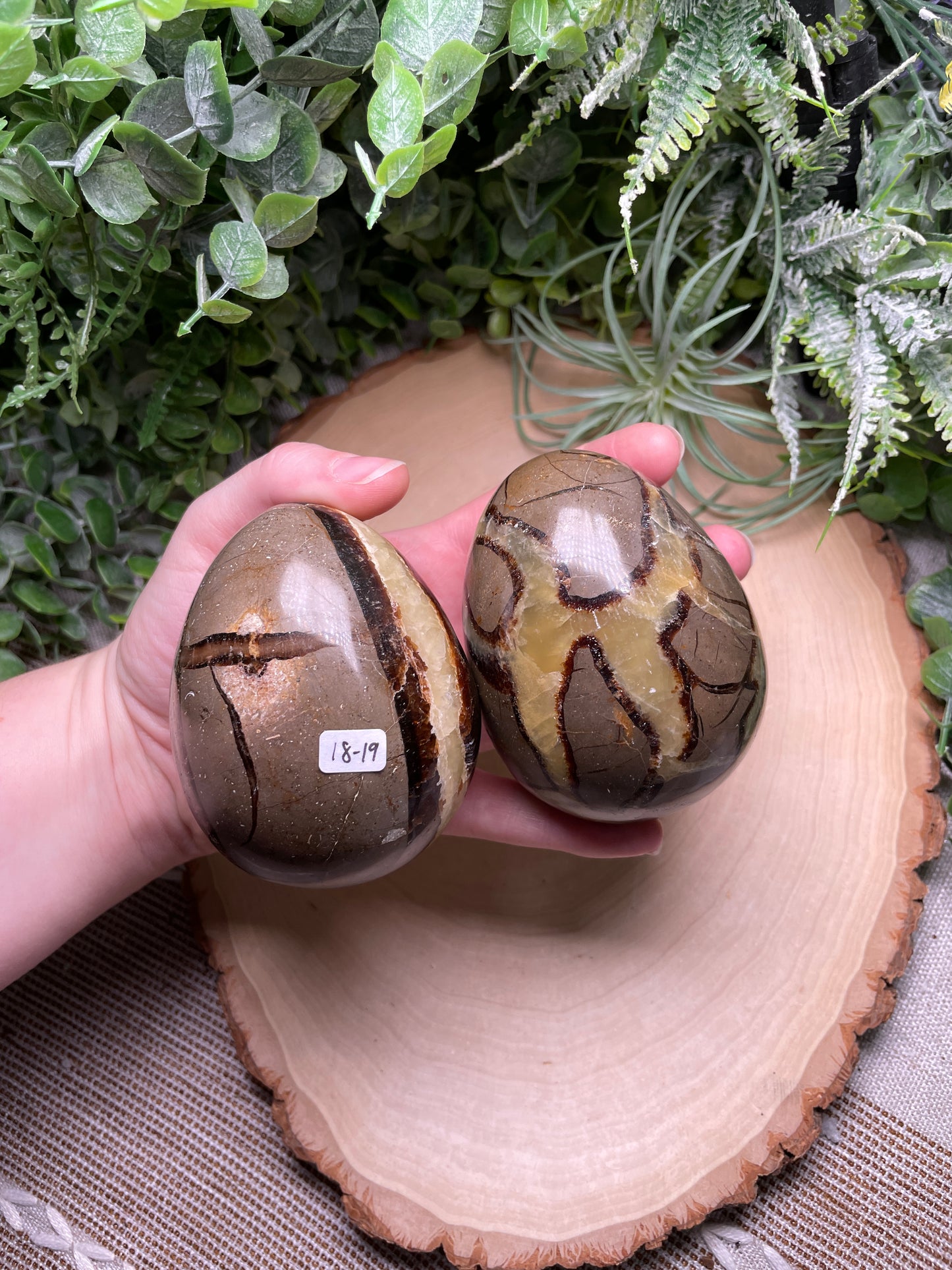 Septarian Egg