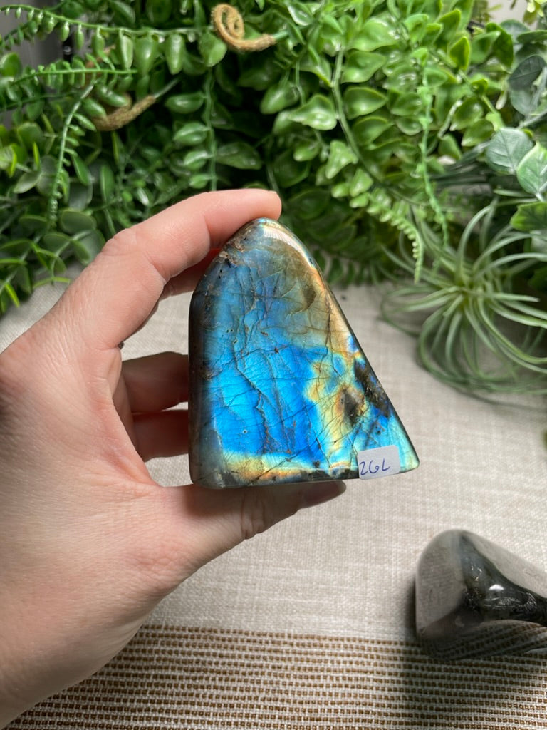 Labradorite Freeform