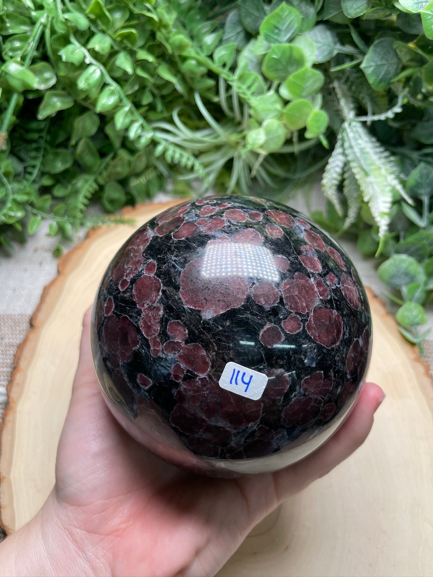 XL Garnet in Astrophyllite Sphere