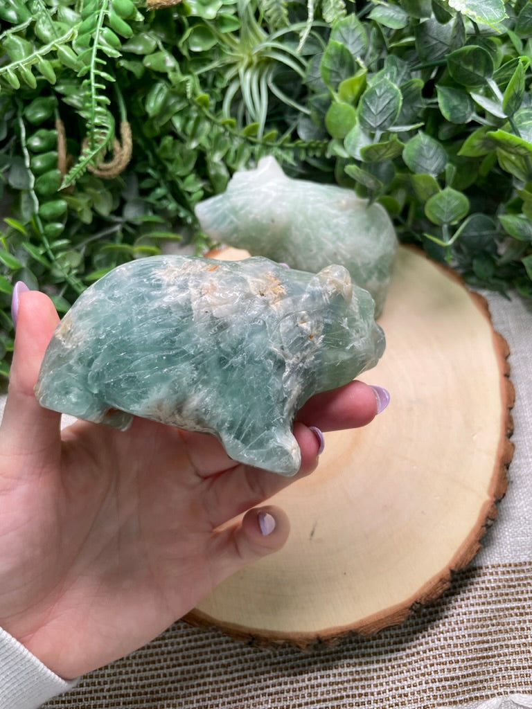 Fluorite Bear