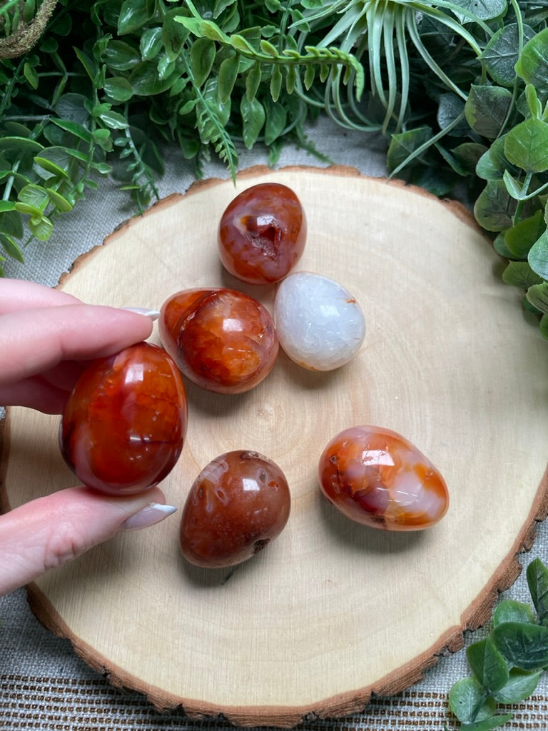 Small Carnelian Egg