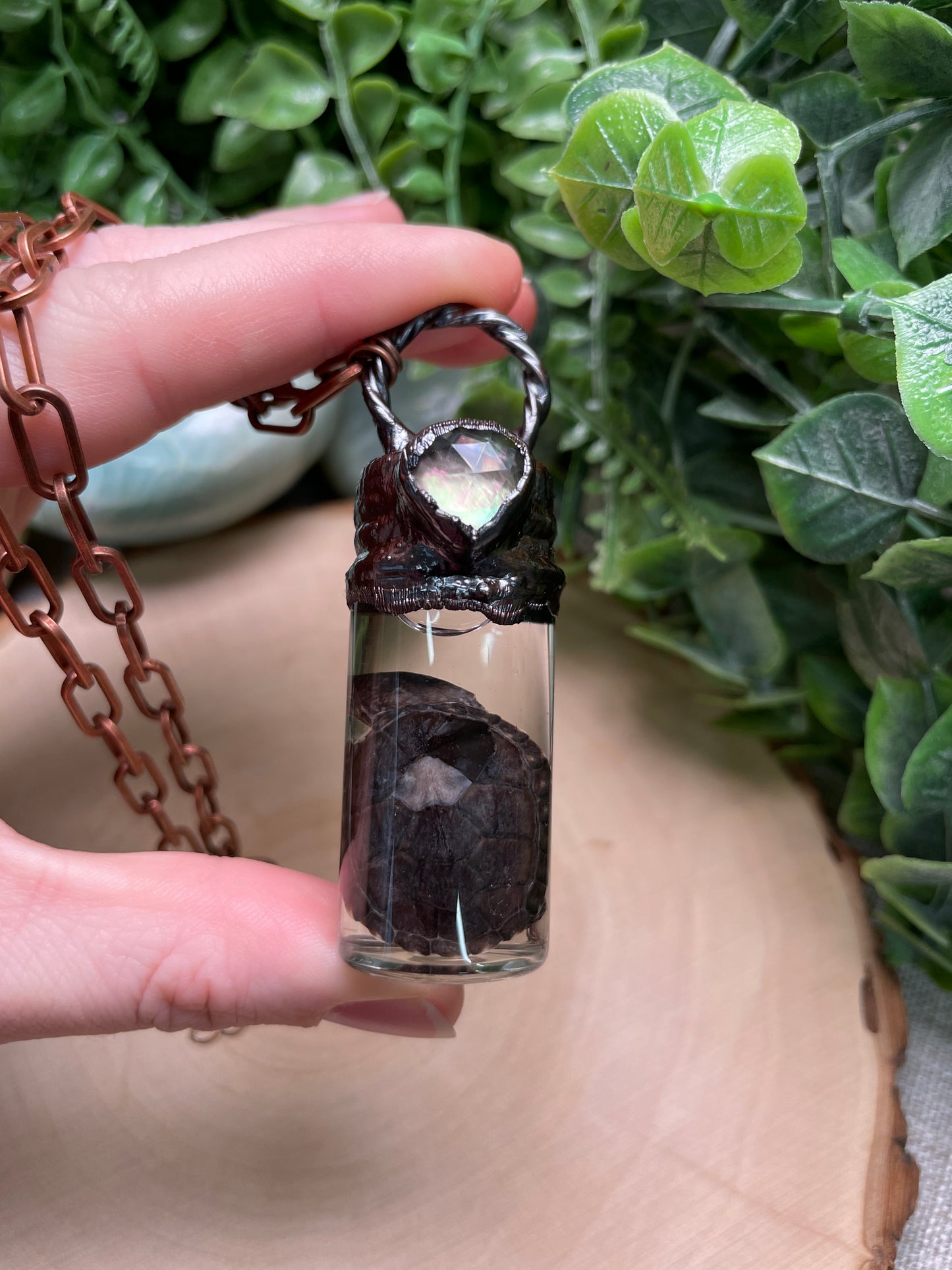 Mother of Pearl Shell and Wet Specimen Baby Turtle in a Glass Vial Necklace