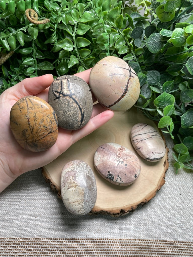 Picture Jasper Palm Stone