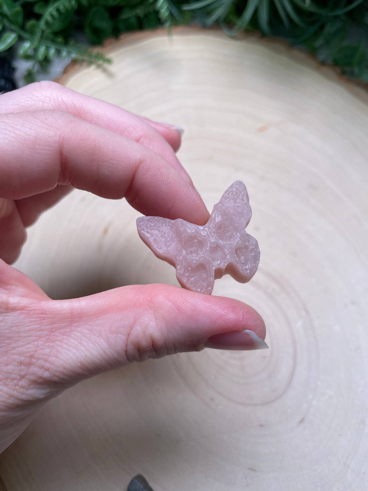 Crystal Skull Butterfly