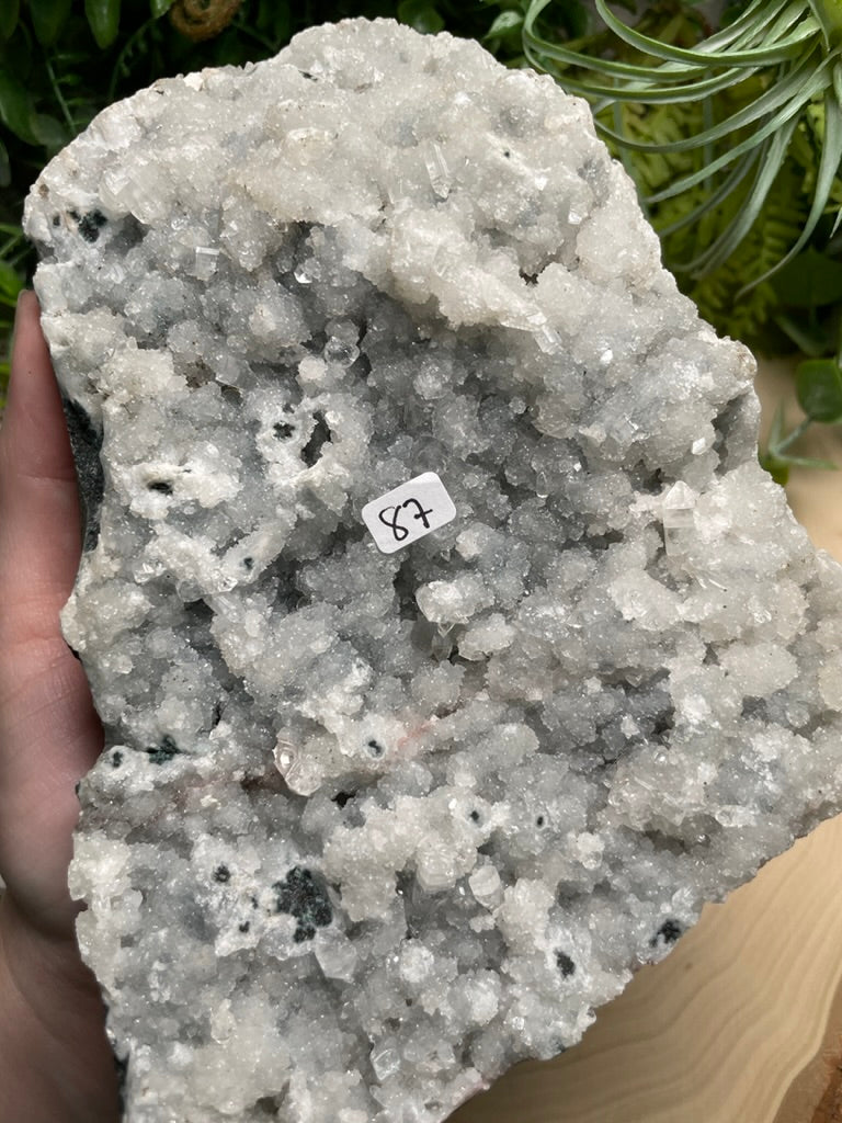 XL Apophyllite Cluster